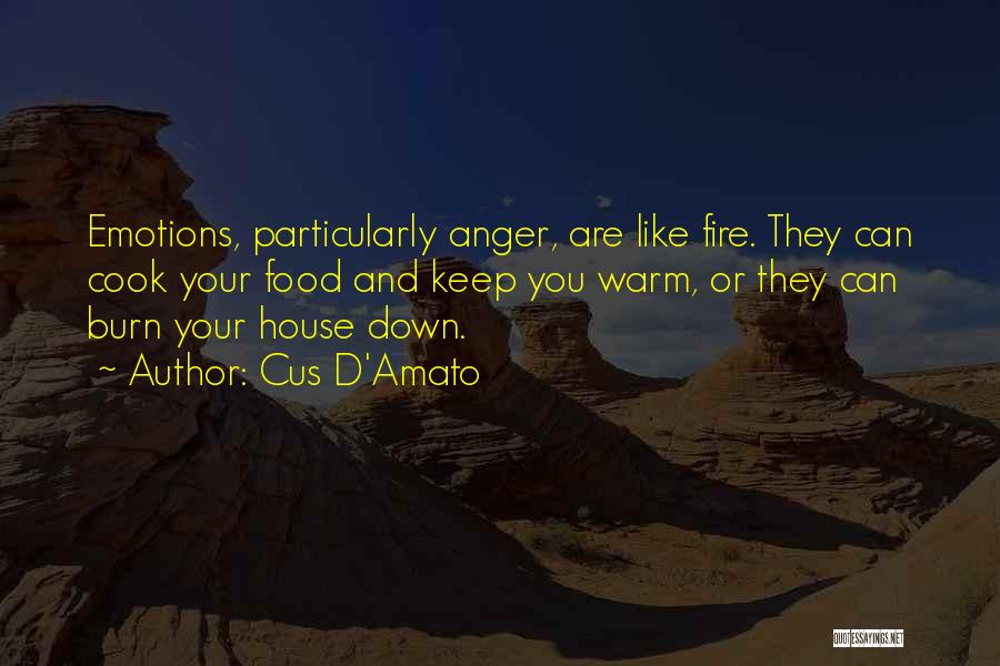 Cus D'Amato Quotes: Emotions, Particularly Anger, Are Like Fire. They Can Cook Your Food And Keep You Warm, Or They Can Burn Your