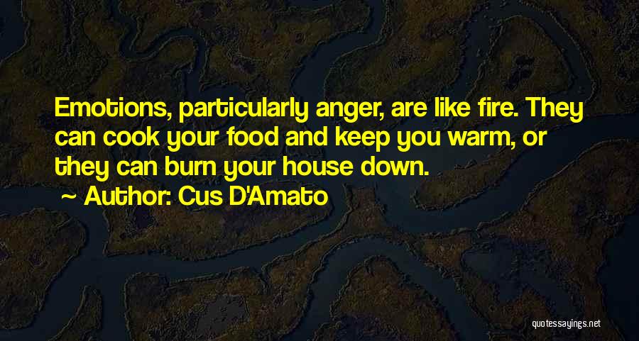 Cus D'Amato Quotes: Emotions, Particularly Anger, Are Like Fire. They Can Cook Your Food And Keep You Warm, Or They Can Burn Your