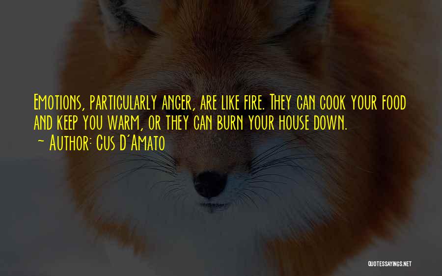 Cus D'Amato Quotes: Emotions, Particularly Anger, Are Like Fire. They Can Cook Your Food And Keep You Warm, Or They Can Burn Your