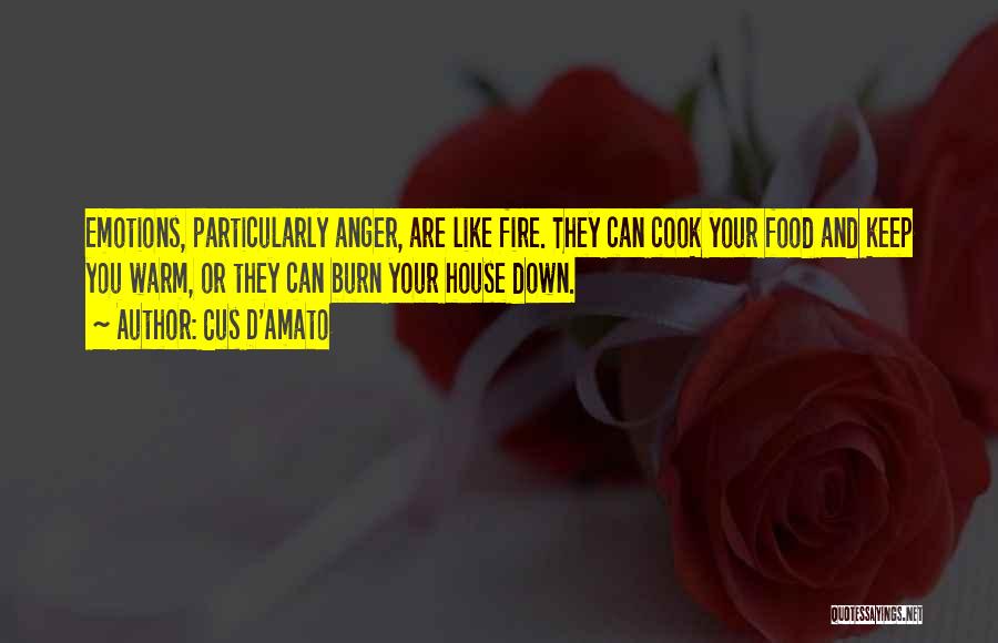 Cus D'Amato Quotes: Emotions, Particularly Anger, Are Like Fire. They Can Cook Your Food And Keep You Warm, Or They Can Burn Your