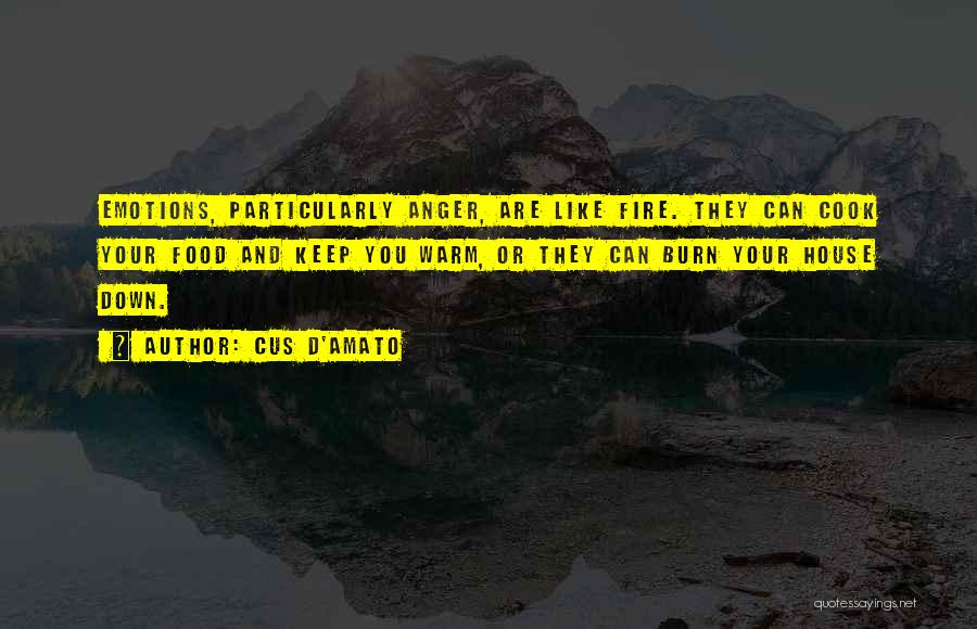 Cus D'Amato Quotes: Emotions, Particularly Anger, Are Like Fire. They Can Cook Your Food And Keep You Warm, Or They Can Burn Your