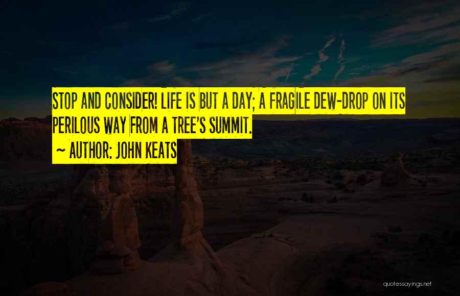 John Keats Quotes: Stop And Consider! Life Is But A Day; A Fragile Dew-drop On Its Perilous Way From A Tree's Summit.