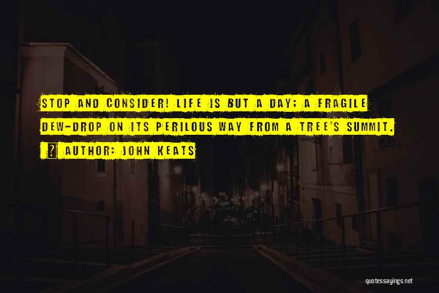 John Keats Quotes: Stop And Consider! Life Is But A Day; A Fragile Dew-drop On Its Perilous Way From A Tree's Summit.