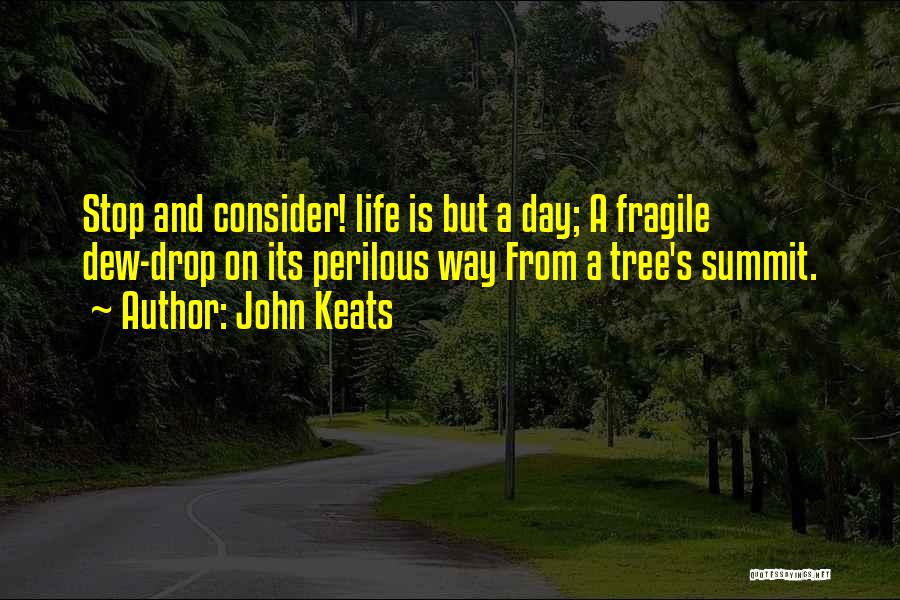 John Keats Quotes: Stop And Consider! Life Is But A Day; A Fragile Dew-drop On Its Perilous Way From A Tree's Summit.