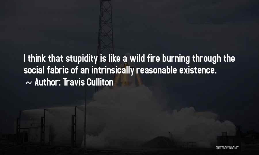 Travis Culliton Quotes: I Think That Stupidity Is Like A Wild Fire Burning Through The Social Fabric Of An Intrinsically Reasonable Existence.