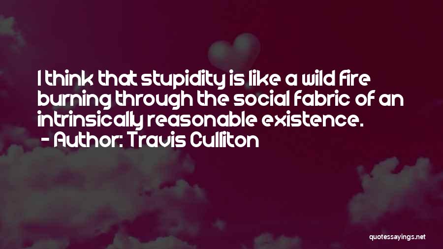 Travis Culliton Quotes: I Think That Stupidity Is Like A Wild Fire Burning Through The Social Fabric Of An Intrinsically Reasonable Existence.