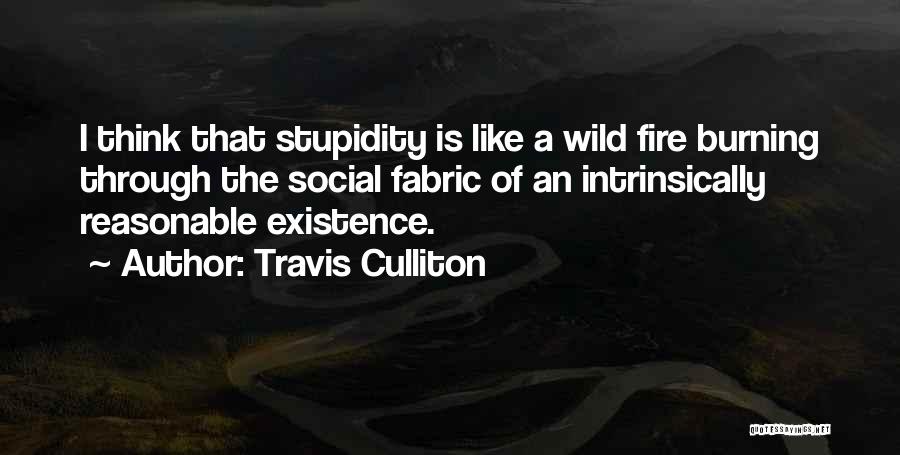 Travis Culliton Quotes: I Think That Stupidity Is Like A Wild Fire Burning Through The Social Fabric Of An Intrinsically Reasonable Existence.