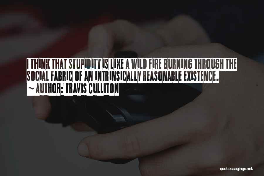 Travis Culliton Quotes: I Think That Stupidity Is Like A Wild Fire Burning Through The Social Fabric Of An Intrinsically Reasonable Existence.