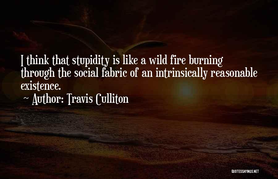 Travis Culliton Quotes: I Think That Stupidity Is Like A Wild Fire Burning Through The Social Fabric Of An Intrinsically Reasonable Existence.