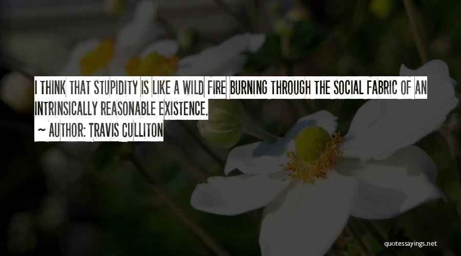 Travis Culliton Quotes: I Think That Stupidity Is Like A Wild Fire Burning Through The Social Fabric Of An Intrinsically Reasonable Existence.