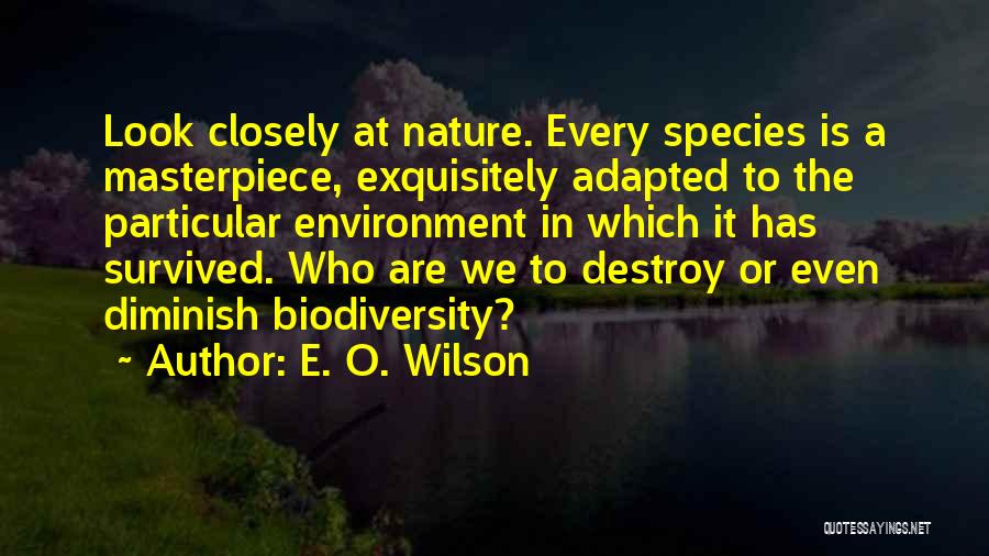 E. O. Wilson Quotes: Look Closely At Nature. Every Species Is A Masterpiece, Exquisitely Adapted To The Particular Environment In Which It Has Survived.