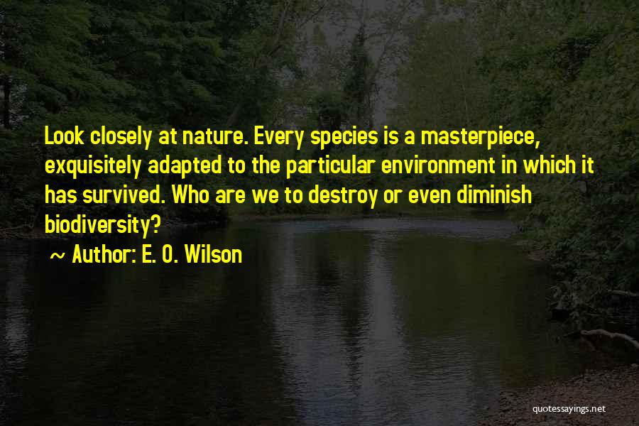 E. O. Wilson Quotes: Look Closely At Nature. Every Species Is A Masterpiece, Exquisitely Adapted To The Particular Environment In Which It Has Survived.