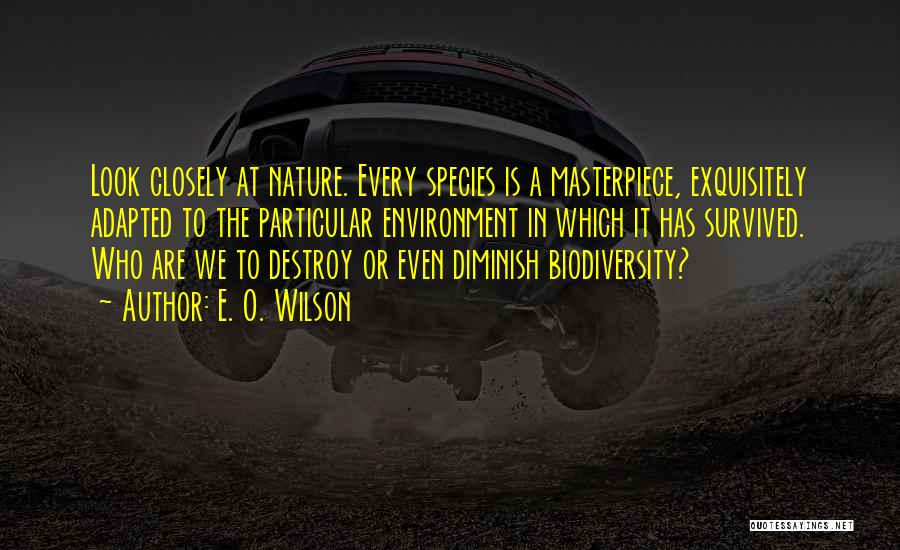 E. O. Wilson Quotes: Look Closely At Nature. Every Species Is A Masterpiece, Exquisitely Adapted To The Particular Environment In Which It Has Survived.