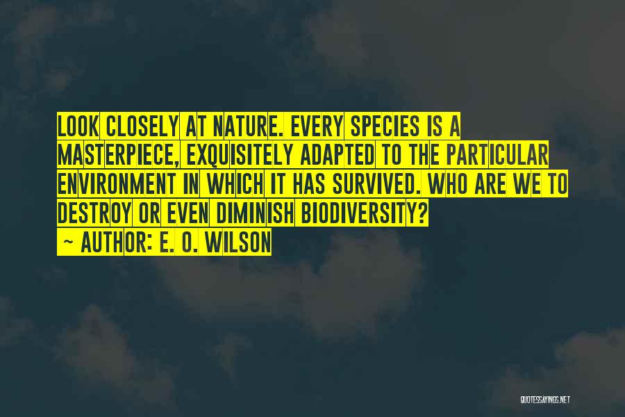 E. O. Wilson Quotes: Look Closely At Nature. Every Species Is A Masterpiece, Exquisitely Adapted To The Particular Environment In Which It Has Survived.
