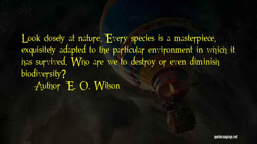 E. O. Wilson Quotes: Look Closely At Nature. Every Species Is A Masterpiece, Exquisitely Adapted To The Particular Environment In Which It Has Survived.