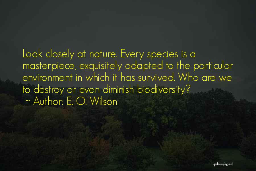 E. O. Wilson Quotes: Look Closely At Nature. Every Species Is A Masterpiece, Exquisitely Adapted To The Particular Environment In Which It Has Survived.