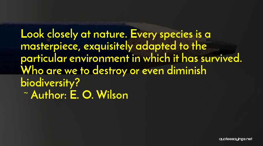 E. O. Wilson Quotes: Look Closely At Nature. Every Species Is A Masterpiece, Exquisitely Adapted To The Particular Environment In Which It Has Survived.