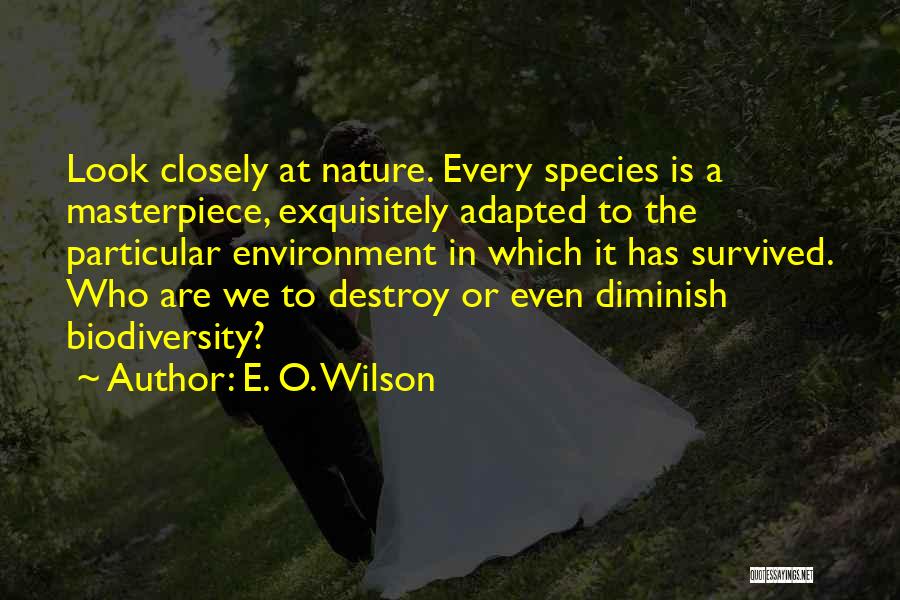 E. O. Wilson Quotes: Look Closely At Nature. Every Species Is A Masterpiece, Exquisitely Adapted To The Particular Environment In Which It Has Survived.