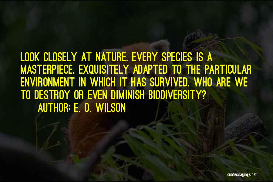E. O. Wilson Quotes: Look Closely At Nature. Every Species Is A Masterpiece, Exquisitely Adapted To The Particular Environment In Which It Has Survived.