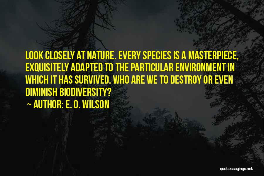 E. O. Wilson Quotes: Look Closely At Nature. Every Species Is A Masterpiece, Exquisitely Adapted To The Particular Environment In Which It Has Survived.