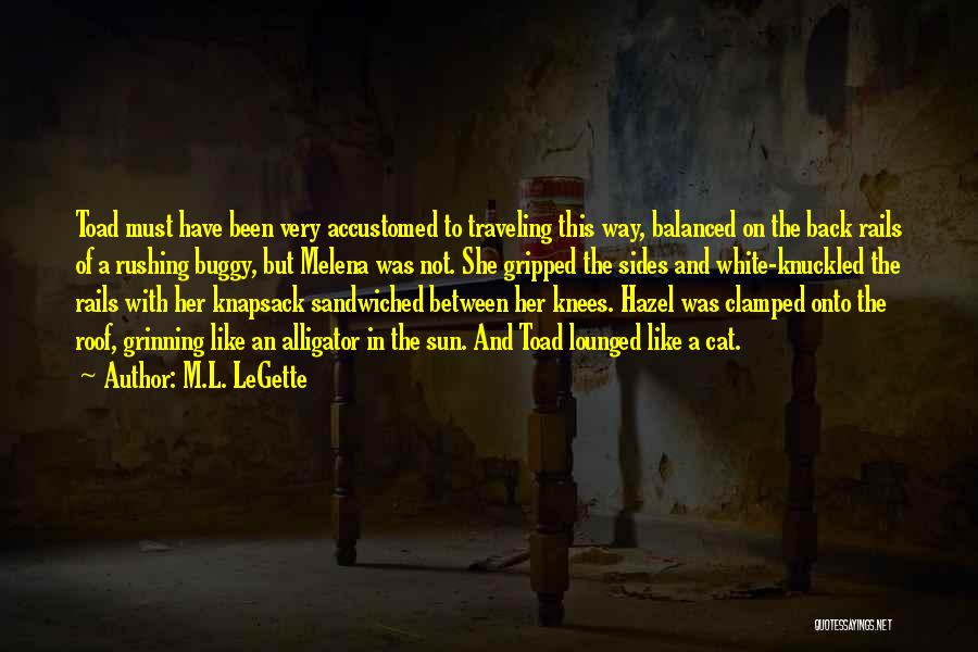 M.L. LeGette Quotes: Toad Must Have Been Very Accustomed To Traveling This Way, Balanced On The Back Rails Of A Rushing Buggy, But