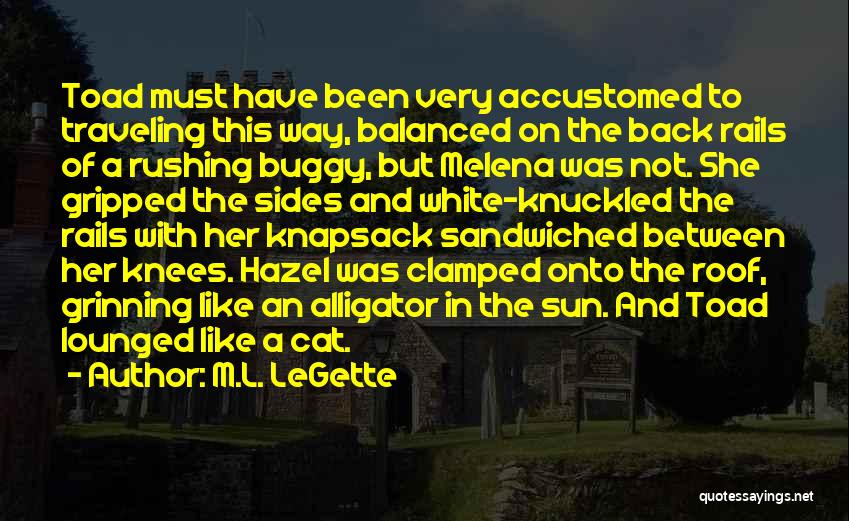 M.L. LeGette Quotes: Toad Must Have Been Very Accustomed To Traveling This Way, Balanced On The Back Rails Of A Rushing Buggy, But
