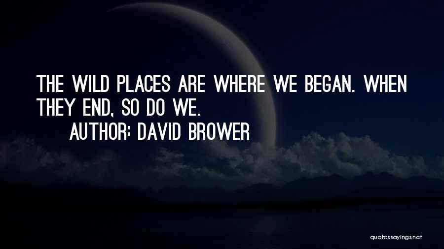 David Brower Quotes: The Wild Places Are Where We Began. When They End, So Do We.