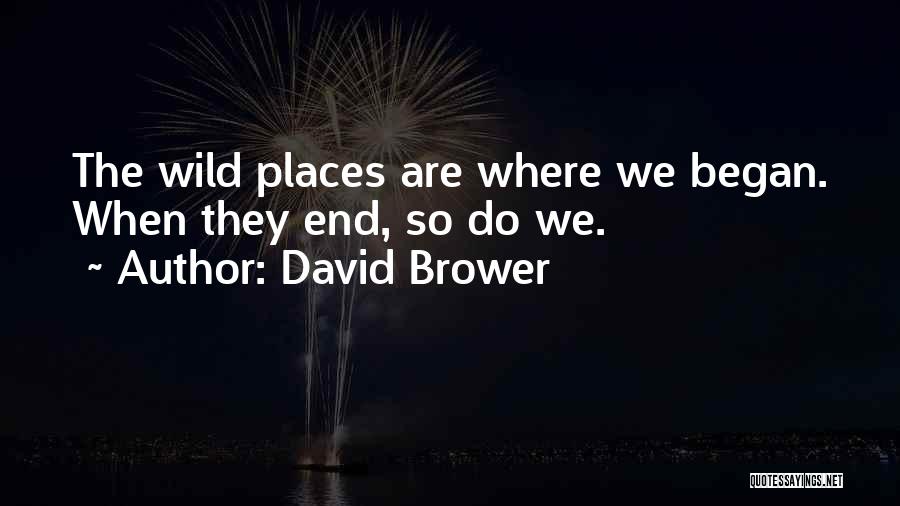 David Brower Quotes: The Wild Places Are Where We Began. When They End, So Do We.