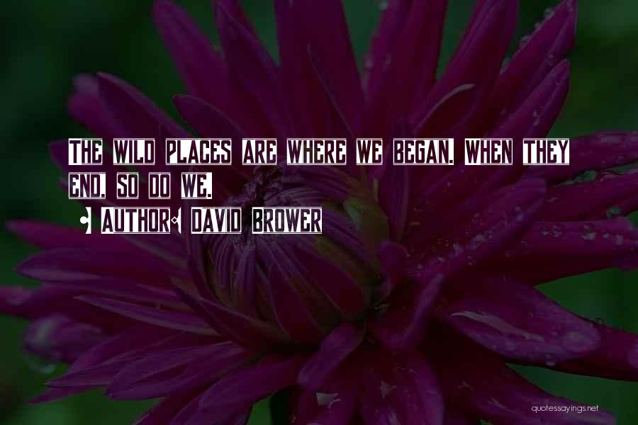 David Brower Quotes: The Wild Places Are Where We Began. When They End, So Do We.