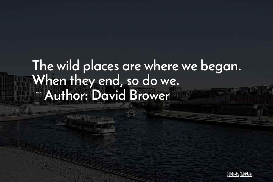 David Brower Quotes: The Wild Places Are Where We Began. When They End, So Do We.