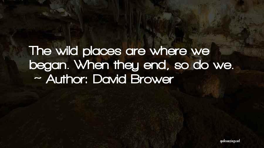 David Brower Quotes: The Wild Places Are Where We Began. When They End, So Do We.