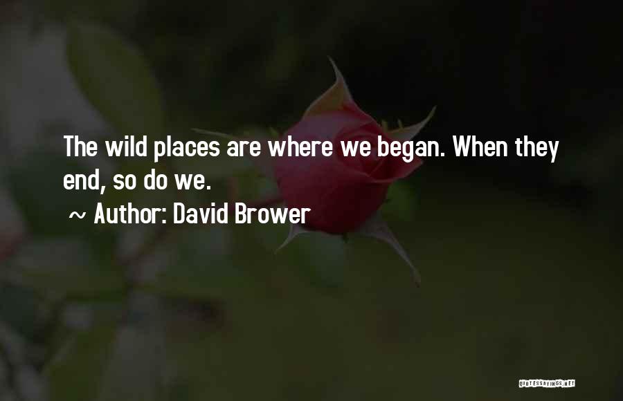 David Brower Quotes: The Wild Places Are Where We Began. When They End, So Do We.
