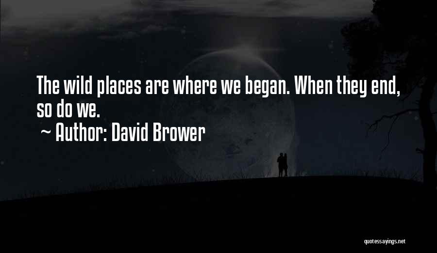 David Brower Quotes: The Wild Places Are Where We Began. When They End, So Do We.