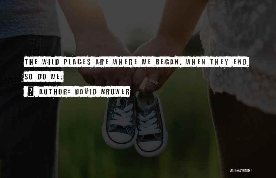 David Brower Quotes: The Wild Places Are Where We Began. When They End, So Do We.