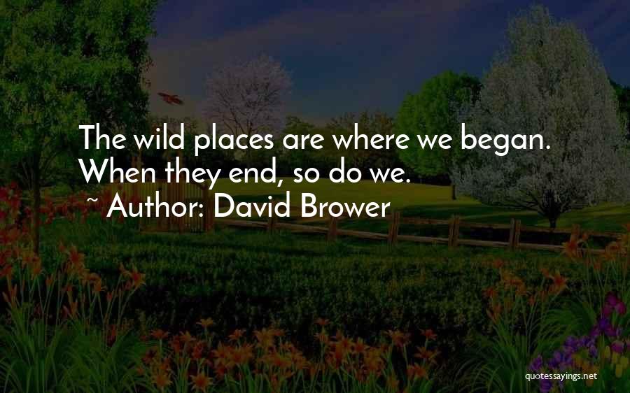 David Brower Quotes: The Wild Places Are Where We Began. When They End, So Do We.