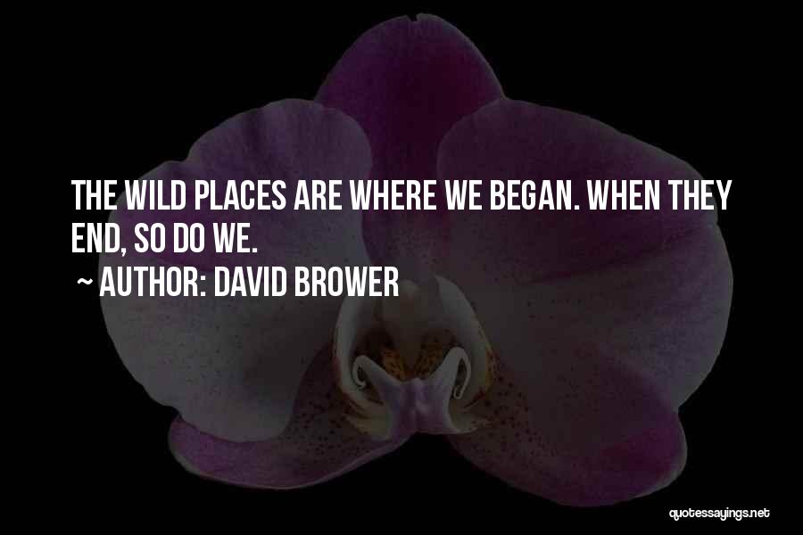 David Brower Quotes: The Wild Places Are Where We Began. When They End, So Do We.