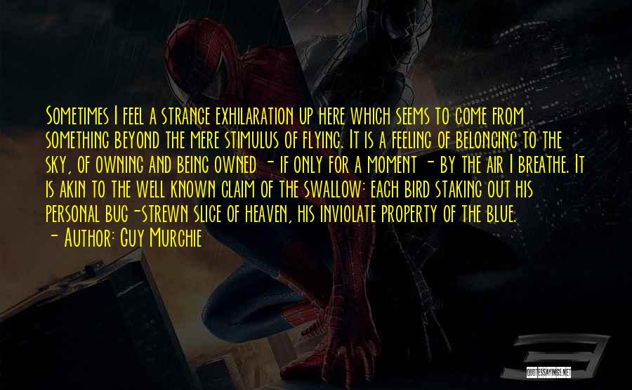 Guy Murchie Quotes: Sometimes I Feel A Strange Exhilaration Up Here Which Seems To Come From Something Beyond The Mere Stimulus Of Flying.