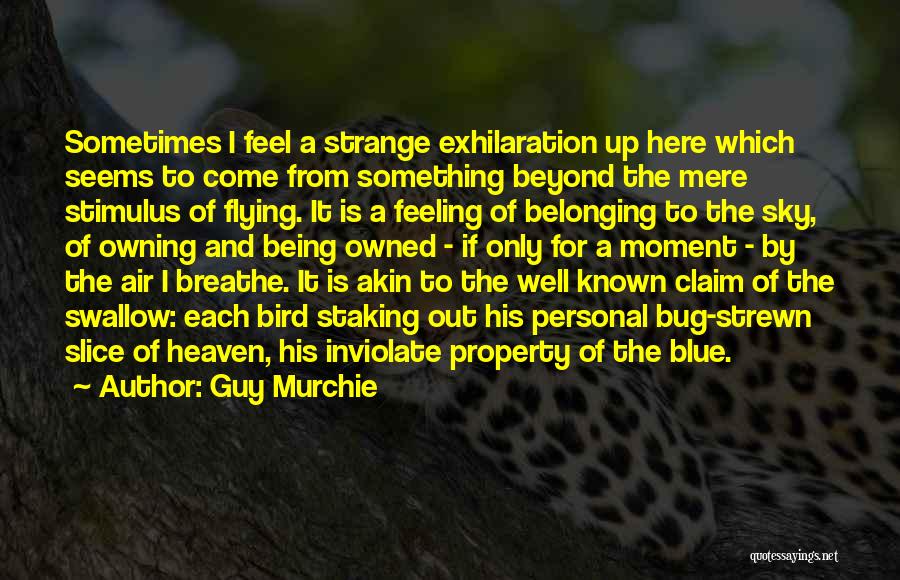 Guy Murchie Quotes: Sometimes I Feel A Strange Exhilaration Up Here Which Seems To Come From Something Beyond The Mere Stimulus Of Flying.