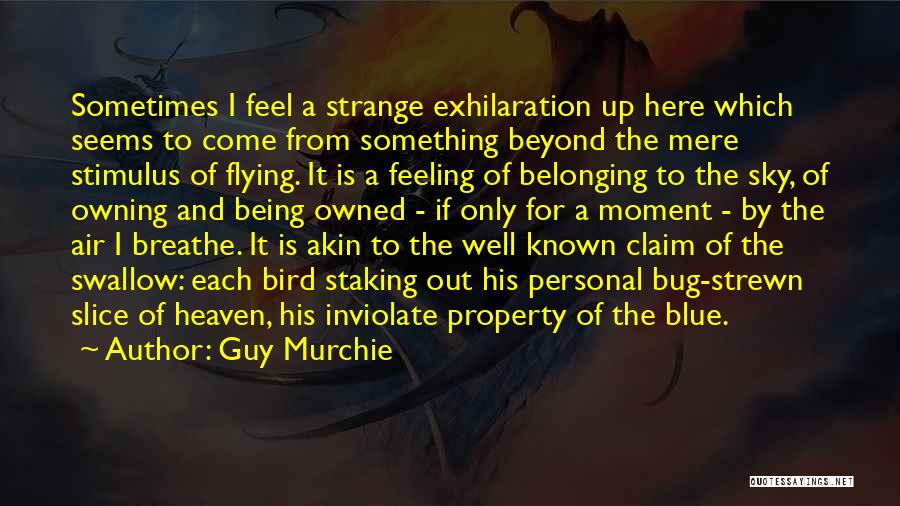 Guy Murchie Quotes: Sometimes I Feel A Strange Exhilaration Up Here Which Seems To Come From Something Beyond The Mere Stimulus Of Flying.