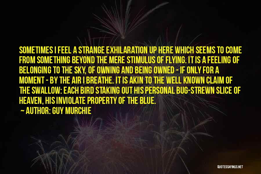 Guy Murchie Quotes: Sometimes I Feel A Strange Exhilaration Up Here Which Seems To Come From Something Beyond The Mere Stimulus Of Flying.