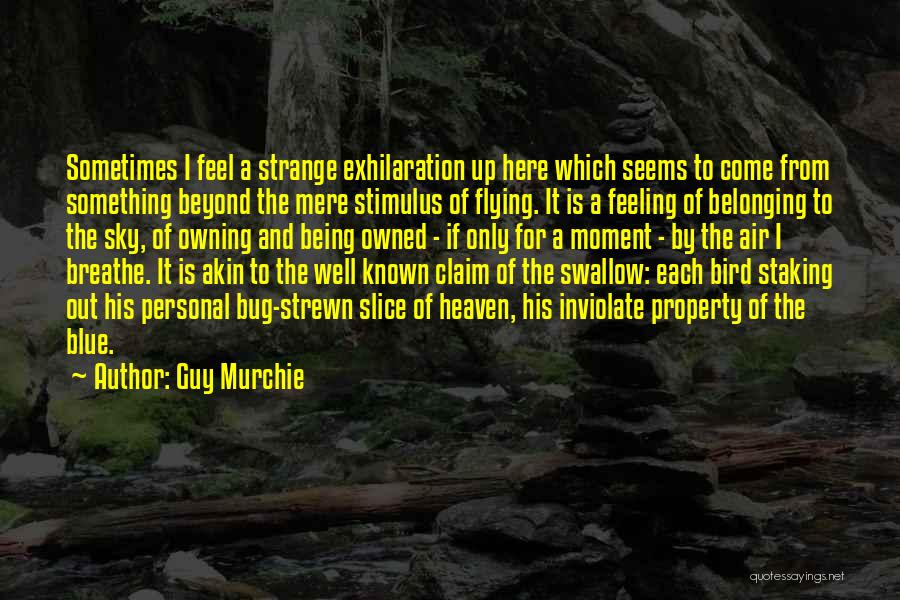 Guy Murchie Quotes: Sometimes I Feel A Strange Exhilaration Up Here Which Seems To Come From Something Beyond The Mere Stimulus Of Flying.