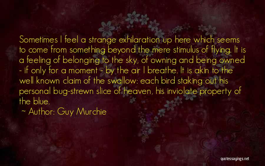 Guy Murchie Quotes: Sometimes I Feel A Strange Exhilaration Up Here Which Seems To Come From Something Beyond The Mere Stimulus Of Flying.