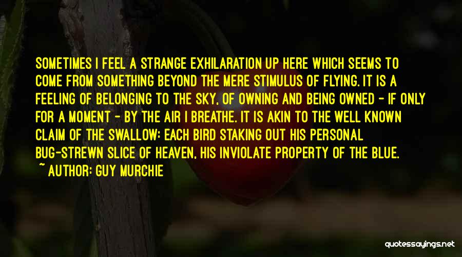 Guy Murchie Quotes: Sometimes I Feel A Strange Exhilaration Up Here Which Seems To Come From Something Beyond The Mere Stimulus Of Flying.