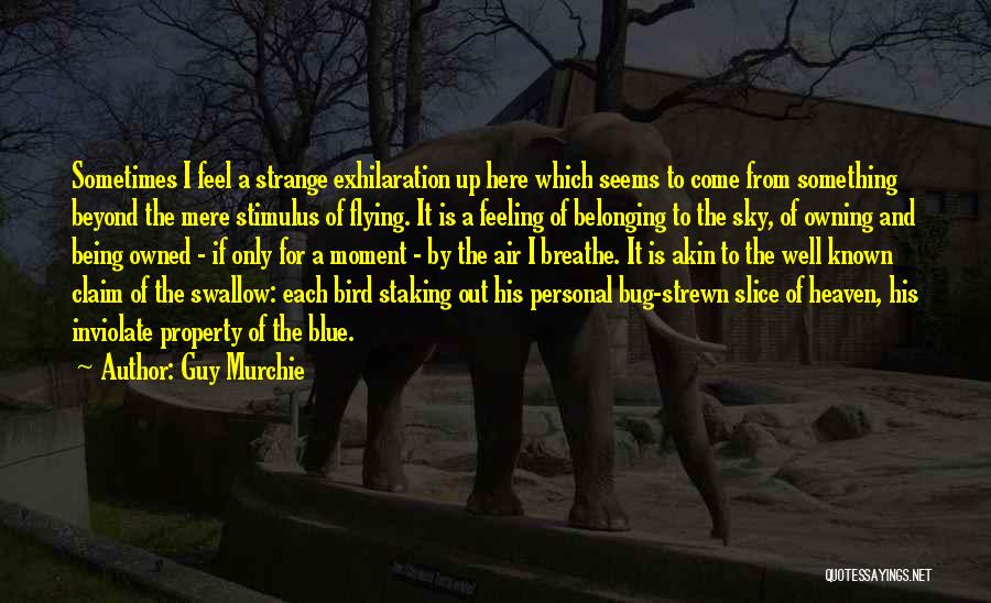 Guy Murchie Quotes: Sometimes I Feel A Strange Exhilaration Up Here Which Seems To Come From Something Beyond The Mere Stimulus Of Flying.