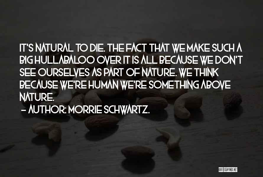 Morrie Schwartz. Quotes: It's Natural To Die. The Fact That We Make Such A Big Hullabaloo Over It Is All Because We Don't