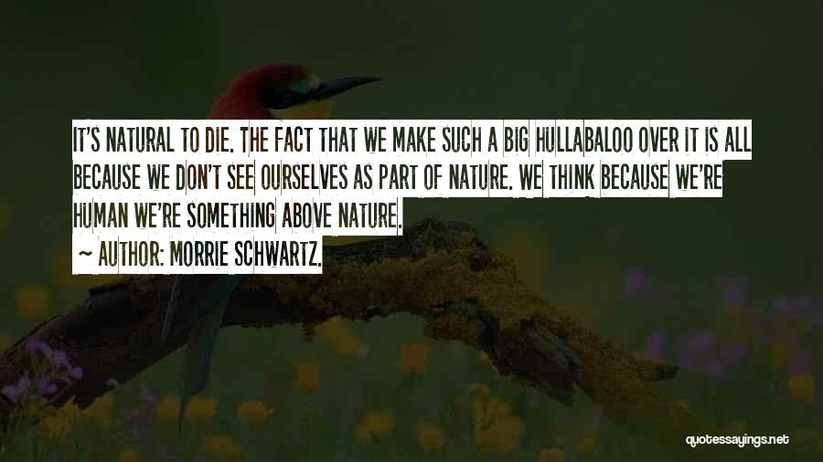 Morrie Schwartz. Quotes: It's Natural To Die. The Fact That We Make Such A Big Hullabaloo Over It Is All Because We Don't