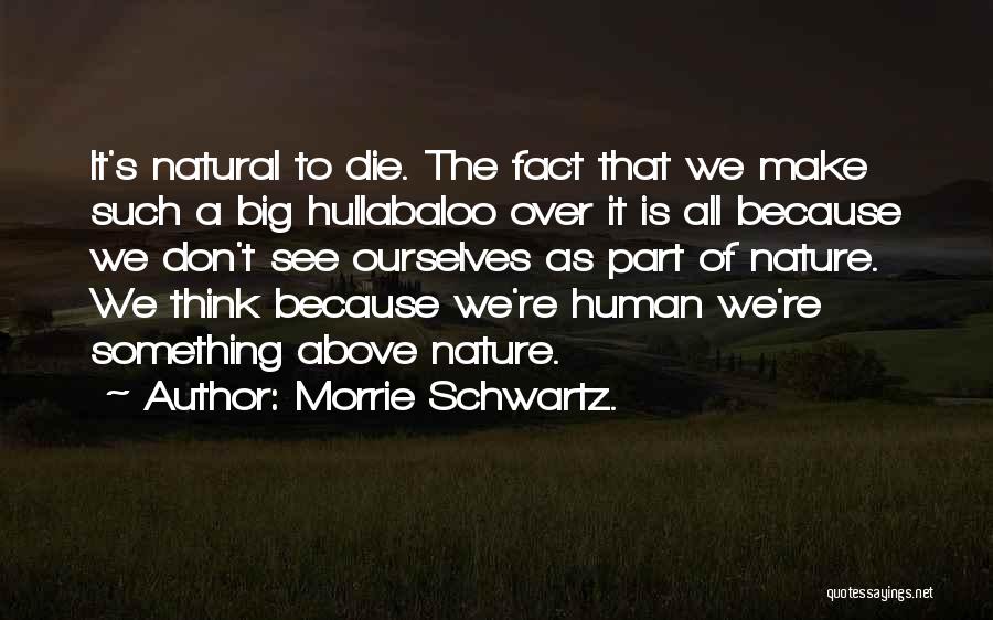 Morrie Schwartz. Quotes: It's Natural To Die. The Fact That We Make Such A Big Hullabaloo Over It Is All Because We Don't