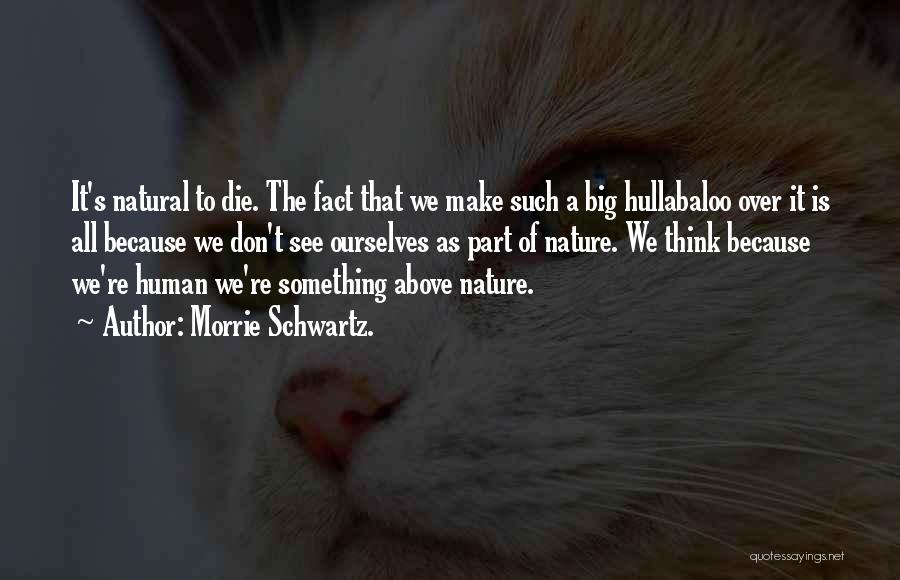 Morrie Schwartz. Quotes: It's Natural To Die. The Fact That We Make Such A Big Hullabaloo Over It Is All Because We Don't