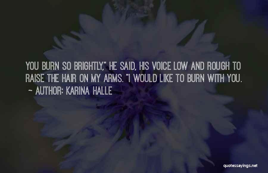 Karina Halle Quotes: You Burn So Brightly, He Said, His Voice Low And Rough To Raise The Hair On My Arms. I Would