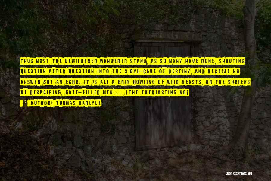 Thomas Carlyle Quotes: Thus Must The Bewildered Wanderer Stand, As So Many Have Done, Shouting Question After Question Into The Sibyl-cave Of Destiny,